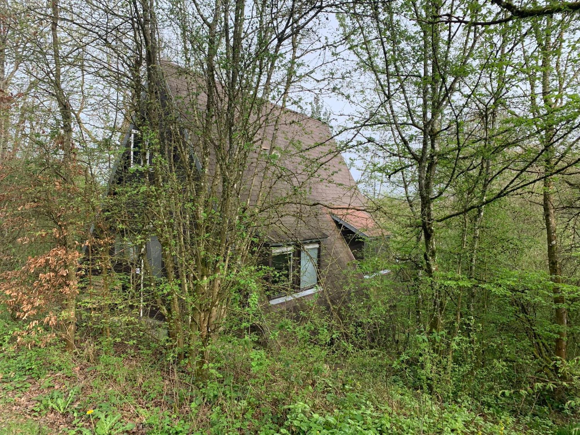 Heerlijk Vakantiehuis In Bos Bij Durbuy Eksteriør billede