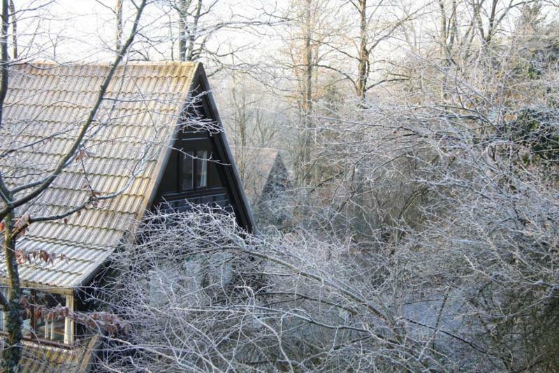 Heerlijk Vakantiehuis In Bos Bij Durbuy Eksteriør billede